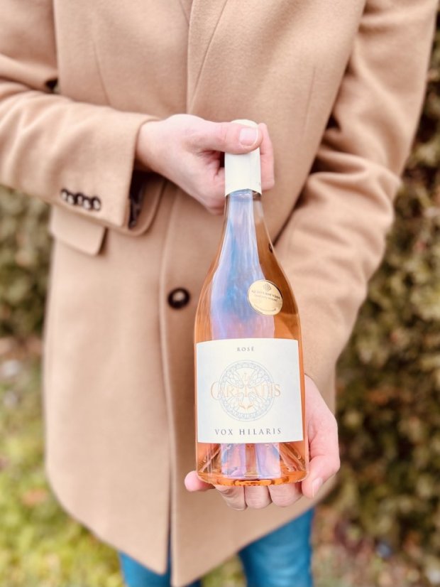 Via Caritatis - Vox Hilaris Rosé 2024 - Balení: 6 lahví  (výhodné balení)