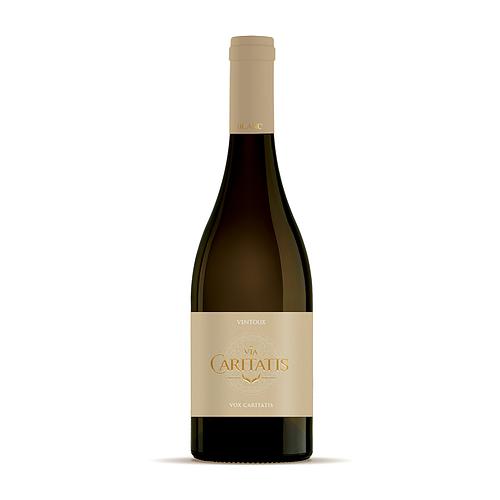 Via Caritatis - Vox Turturis Blanc 2023 - Balení: 4 lahve (výhodné balení)