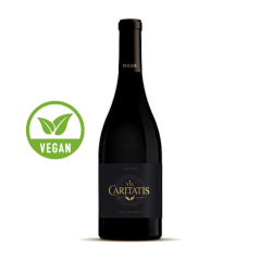 Via Caritatis - Lux Rouge 2020
